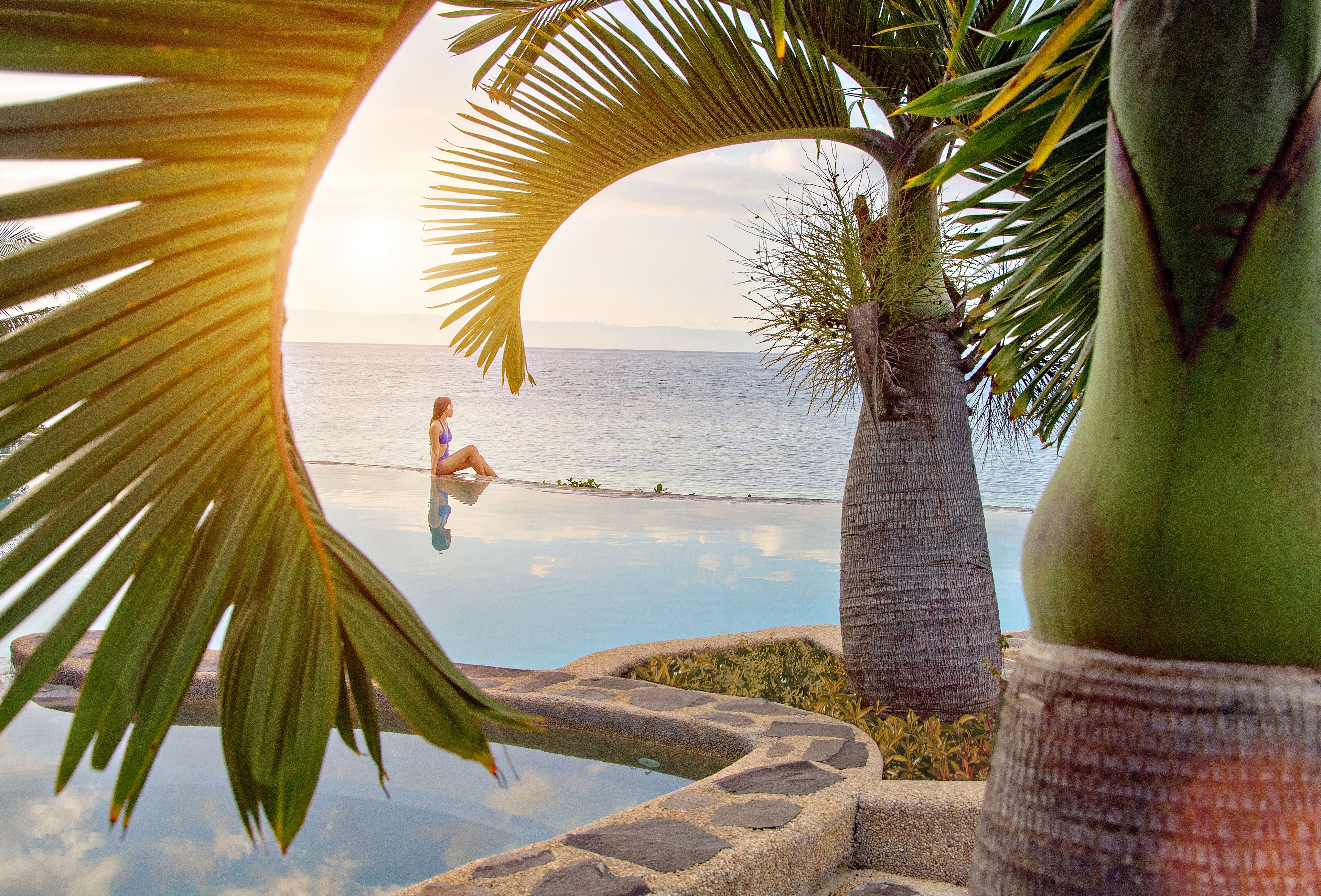 A pool with a clear view of the ocean and a palm tree.