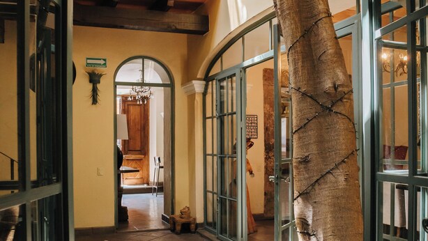 A spacious hallway with a large tree trunk, glass doors, and a staircase leading to an upper level. - Casa Florida (San Miguel de Allende)