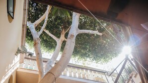 A staircase with a metal railing, a tree with string lights, and a window with a view of the outside. - Casa Florida (San Miguel de Allende)