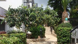 Property grounds - Aphelandra Hotel Apartments (Ayia Napa)