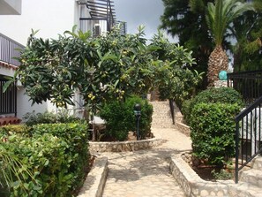 Property grounds - Aphelandra Hotel Apartments (Ayia Napa)