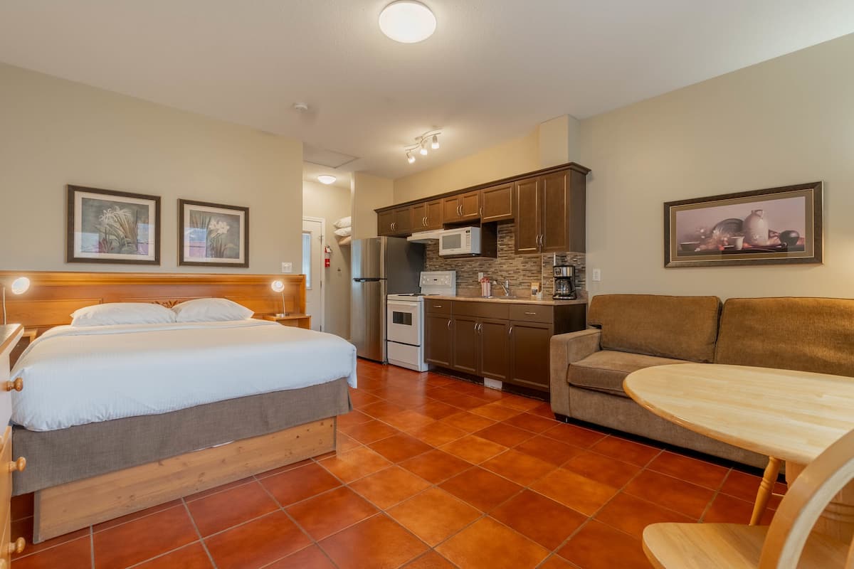 A compact room with a bed, a sofa, a dining table, and a kitchenette.