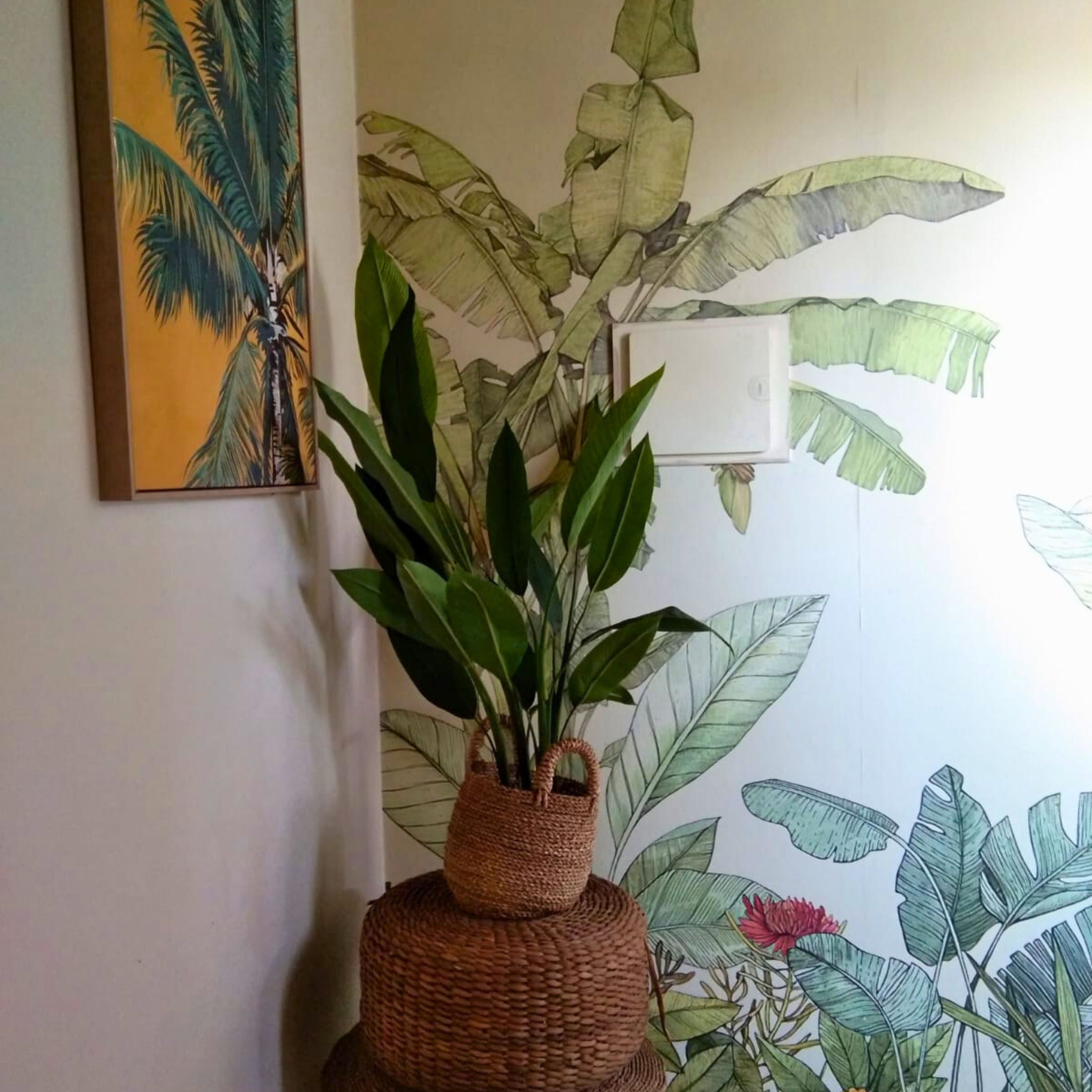A potted plant on a woven stool against a wall with a large botanical illustration.
