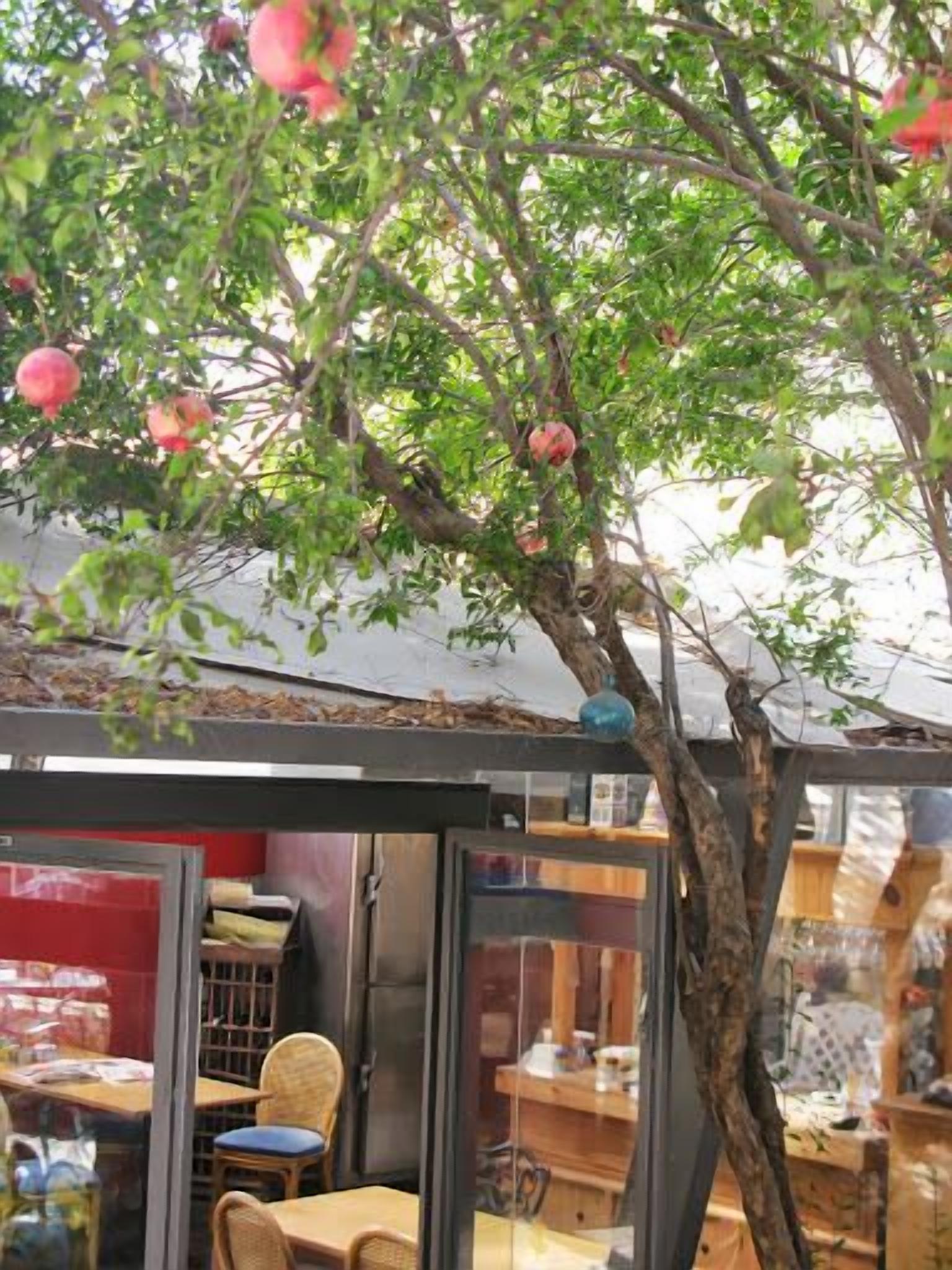 Foto - Jerusalem Garden Home