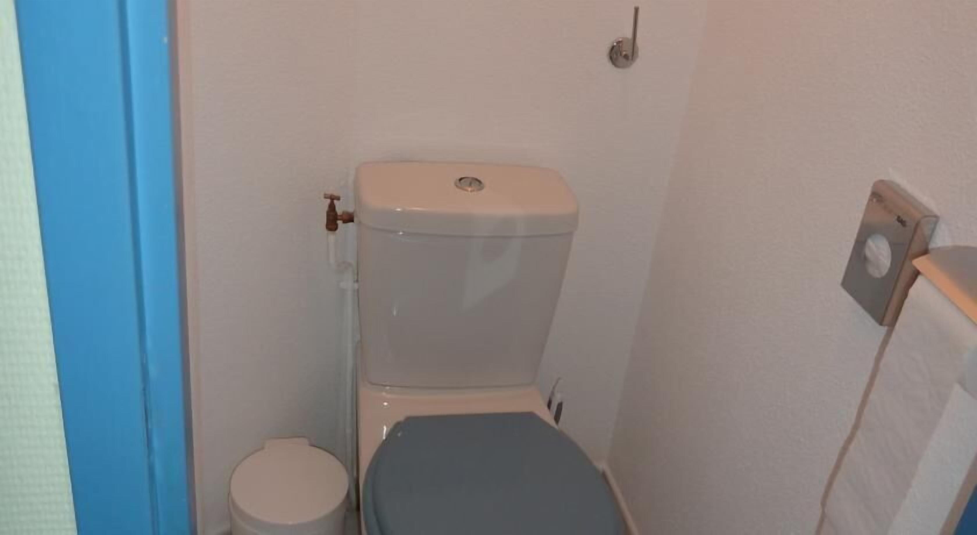 combined shower/bathtub, hair dryer, towels