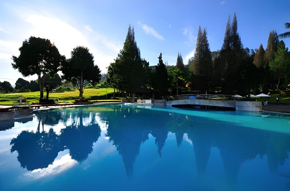 Outdoor pool, pool umbrellas, sun loungers