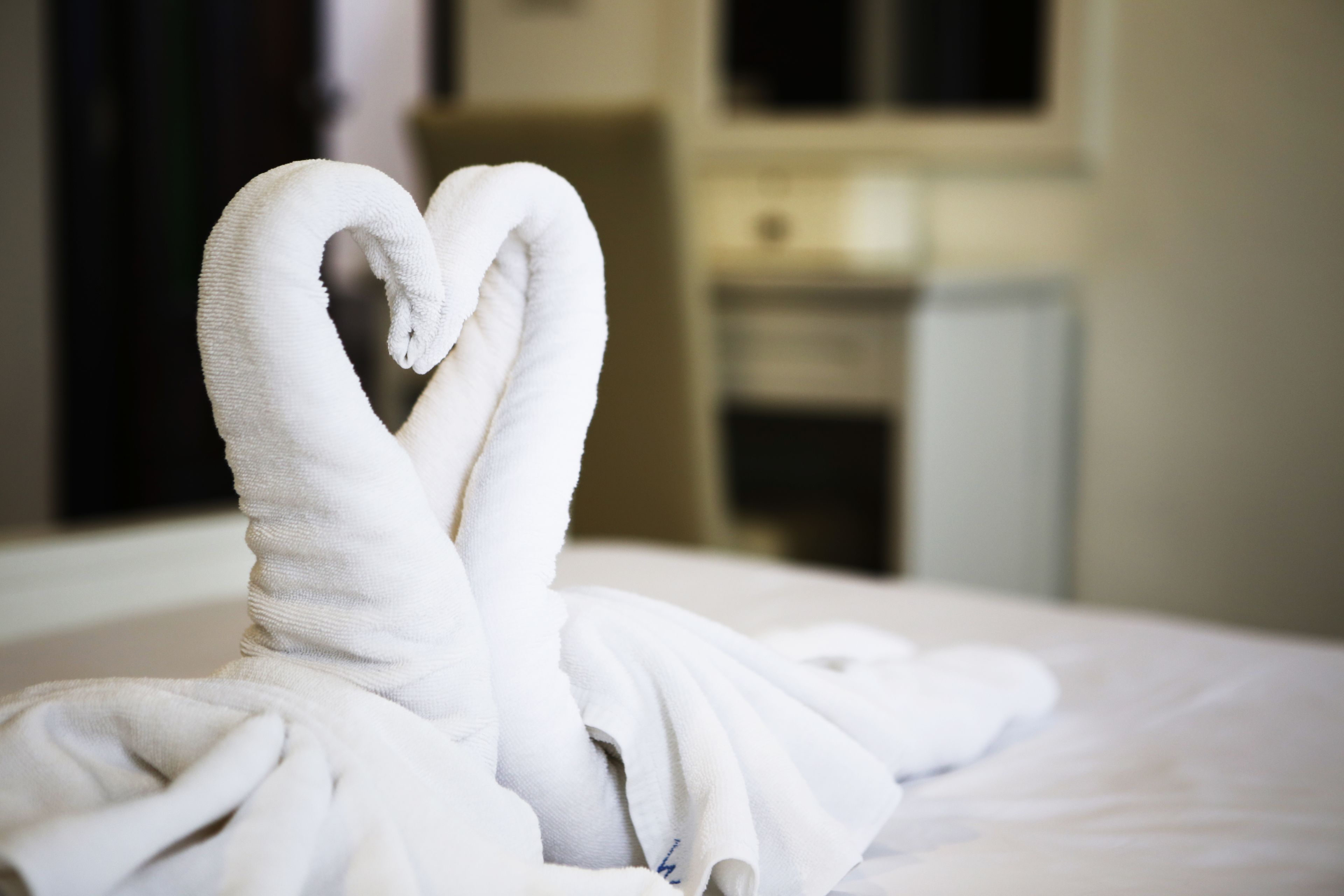 room, 1 king bed | room amenity