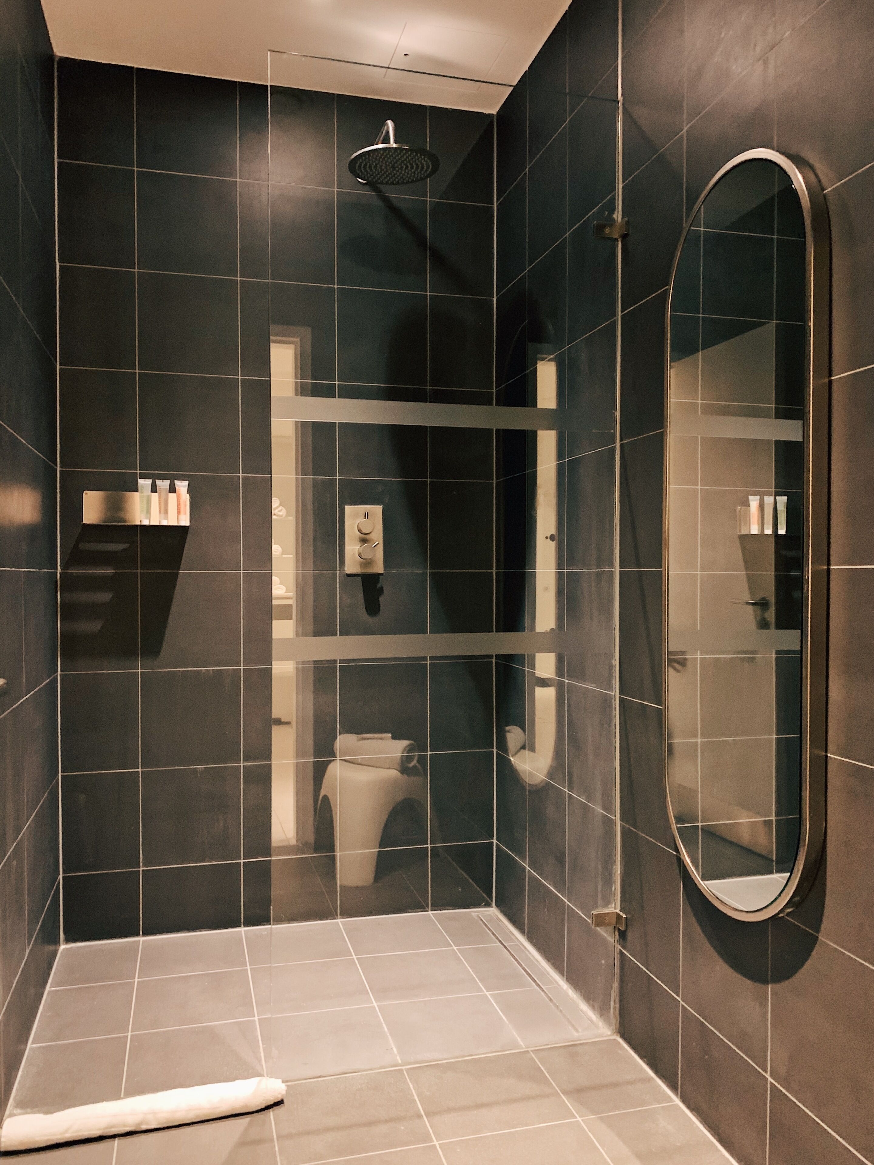 A walk-in shower with a glass door, a toilet, and a mirror.