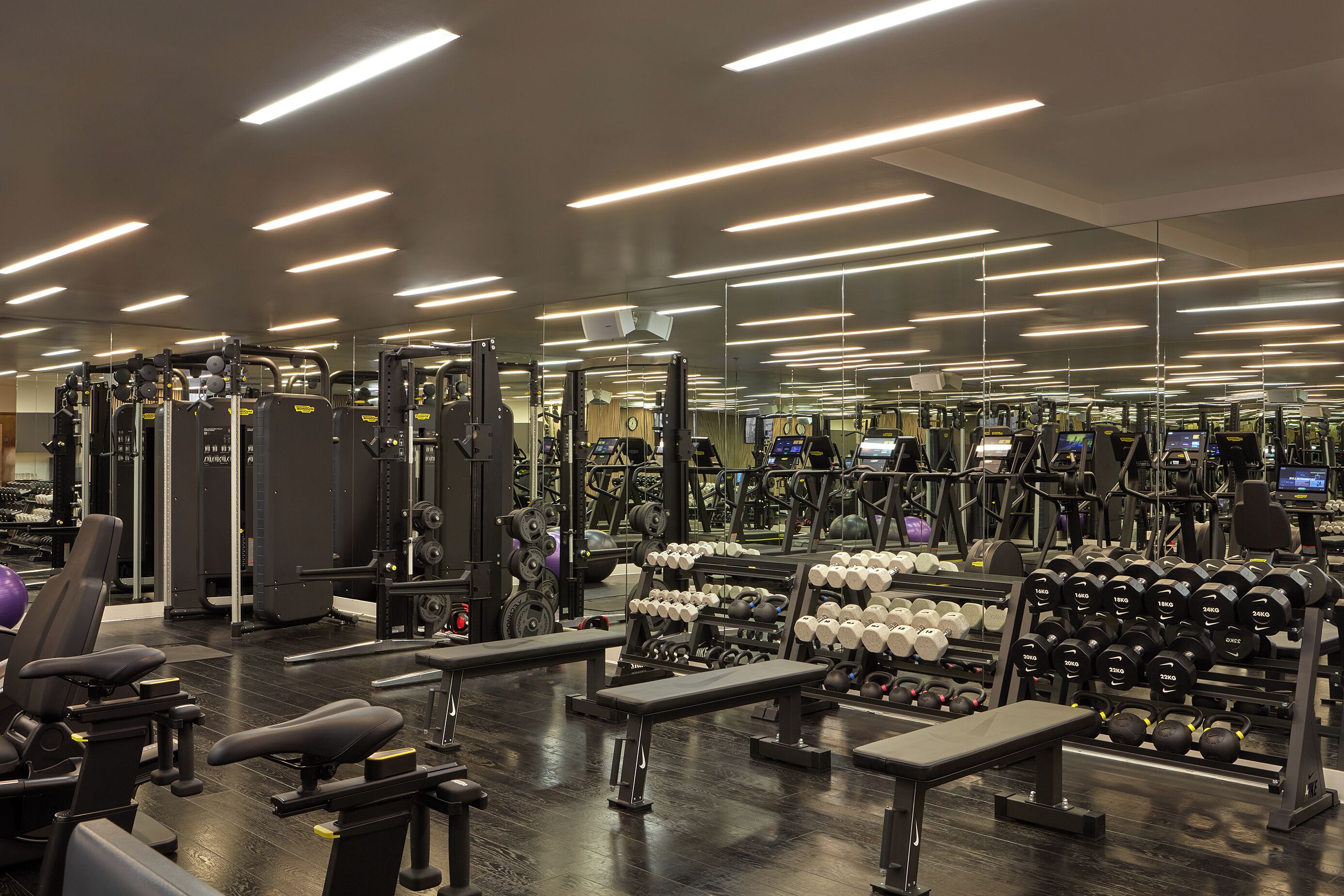 A gym with various exercise equipment, including benches, dumbbells, and weight machines.