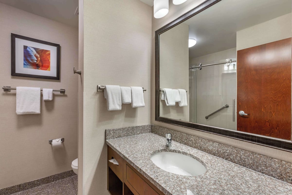 free toiletries, hair dryer, towels