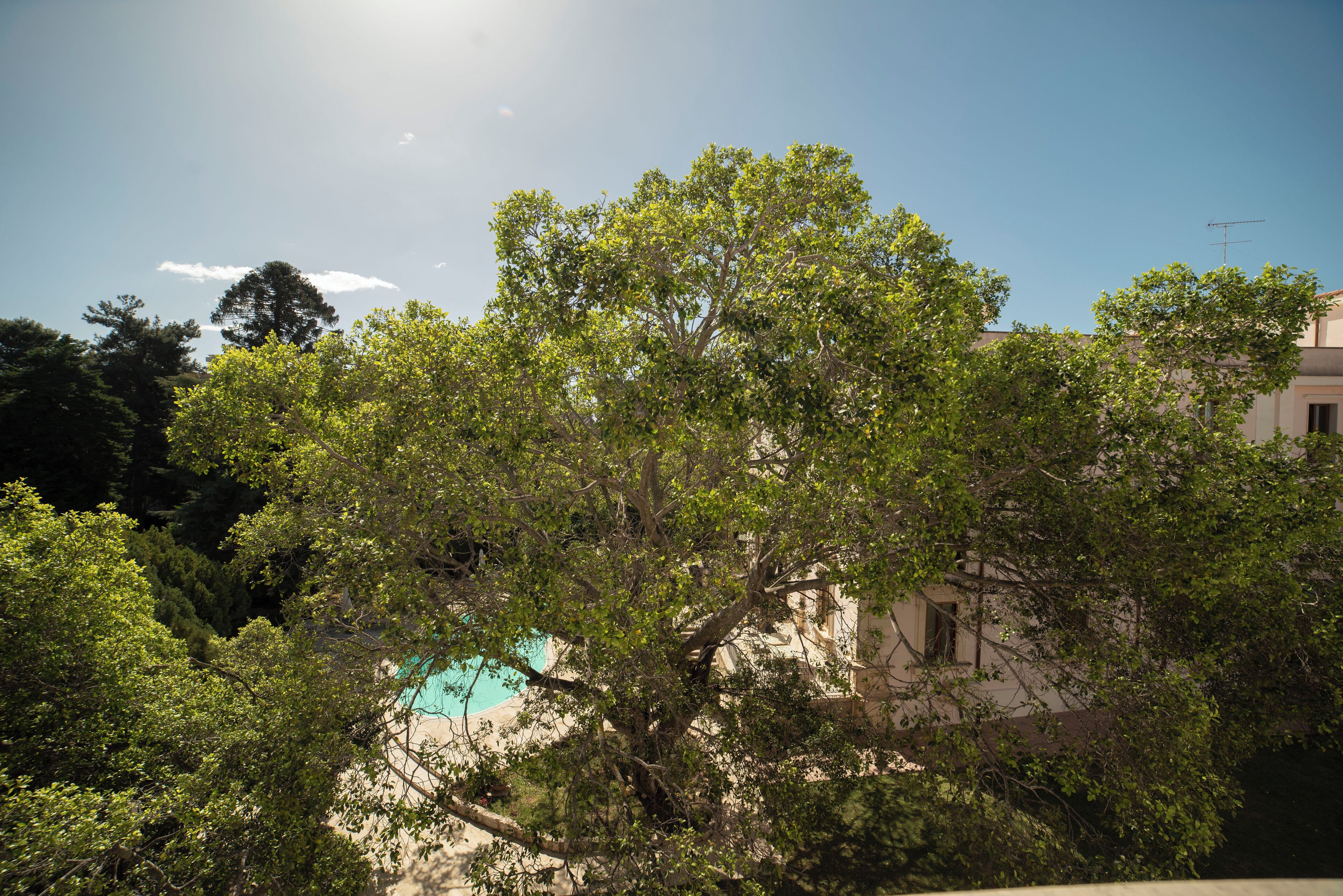Foto - Hotel Parco delle Fontane