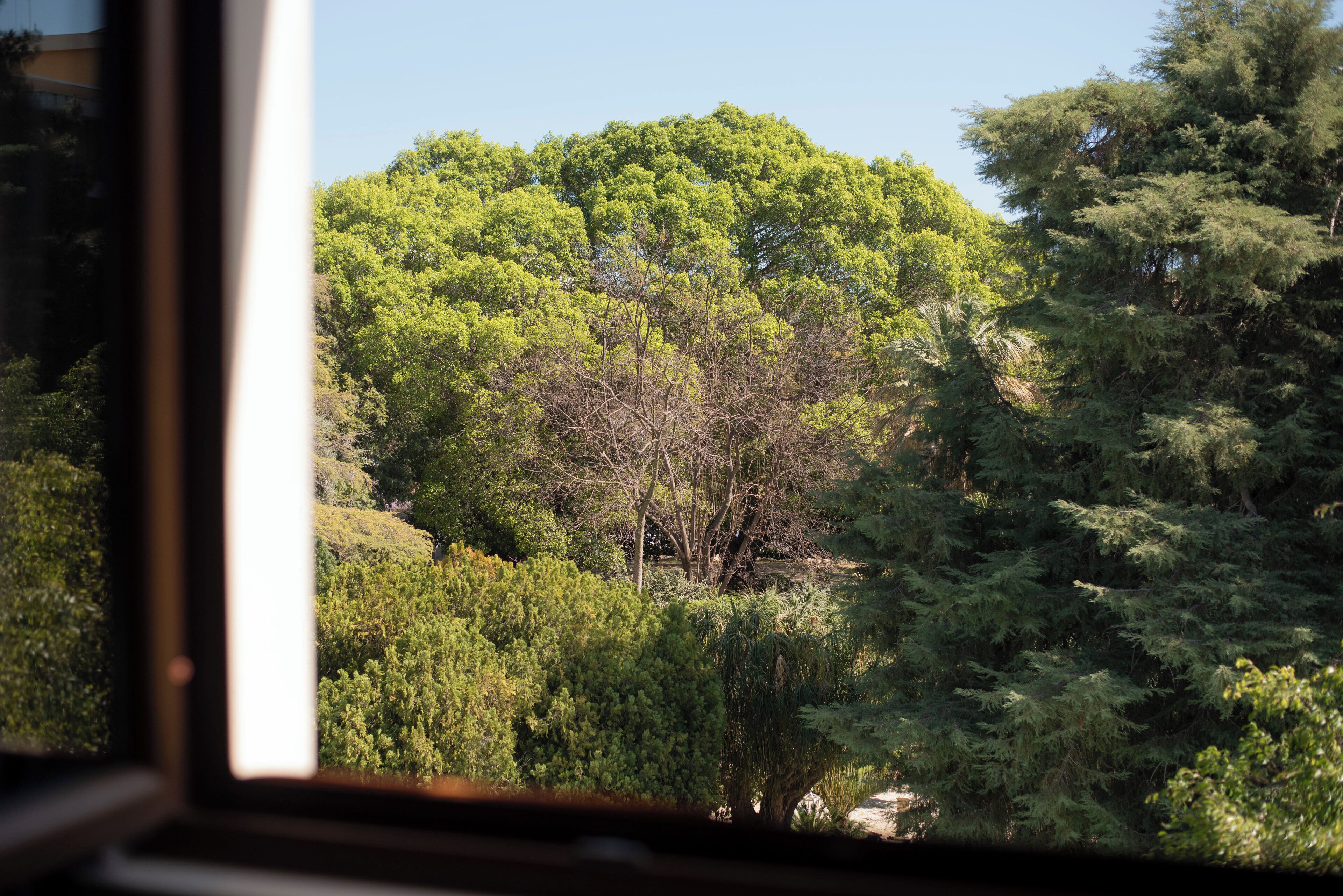 junior studio suite, jetted tub, garden view | view from room