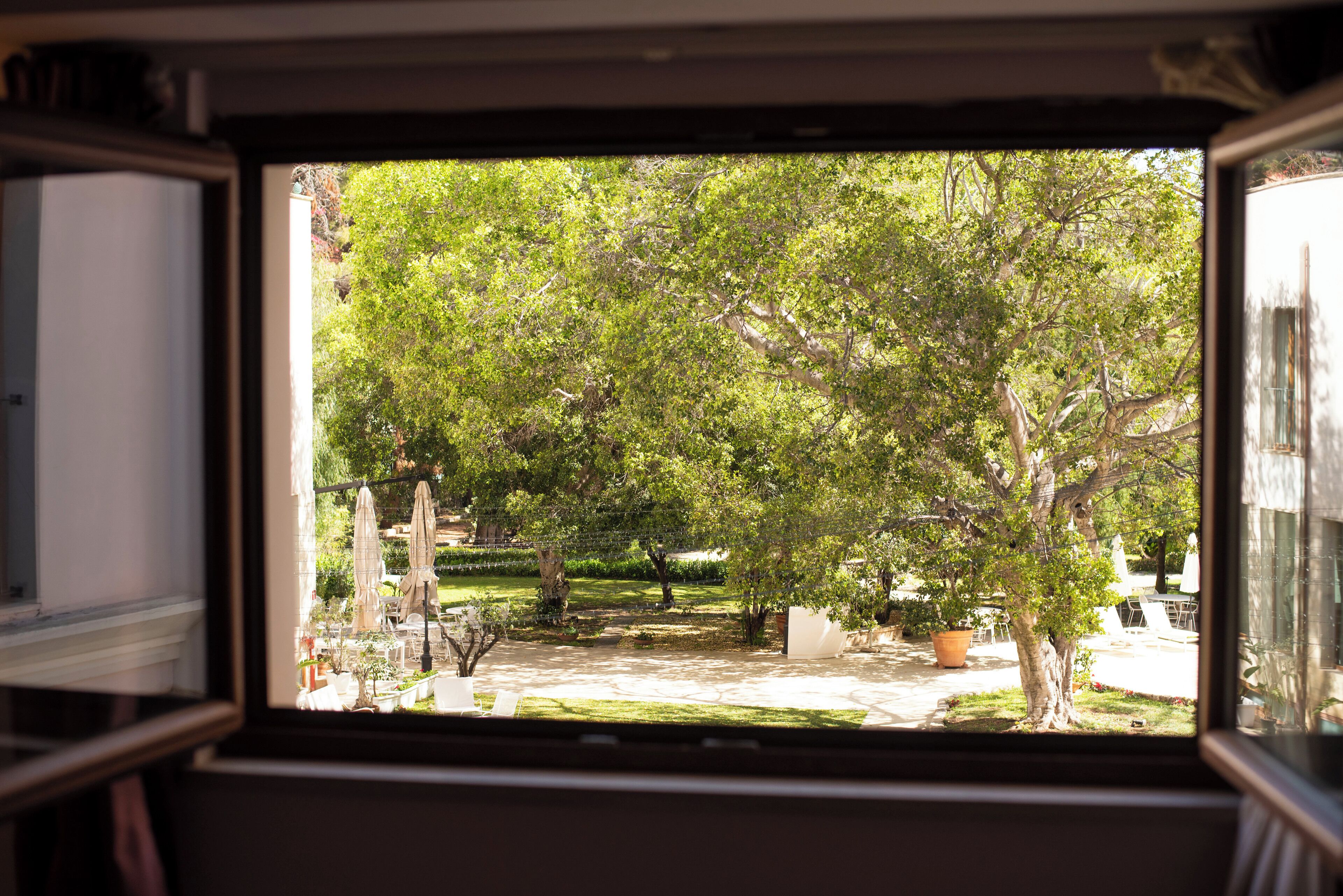 Vista desde el interior de un vehículo, mostrando un jardín con árboles, césped y mobiliario exterior.