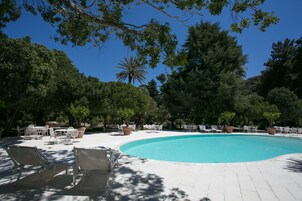 Zona de piscina con sillones de descanso y mesas, rodeada de árboles y un cielo azul despejado.