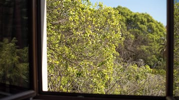 Suite estudio junior, hidromasaje, vista al jardín | Vista desde la habitación