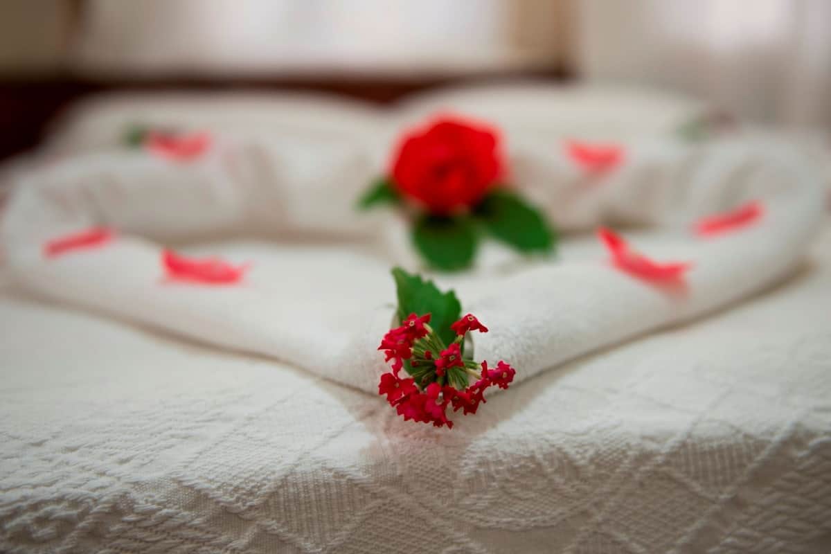 In-room safe, free WiFi, bed sheets, wheelchair access