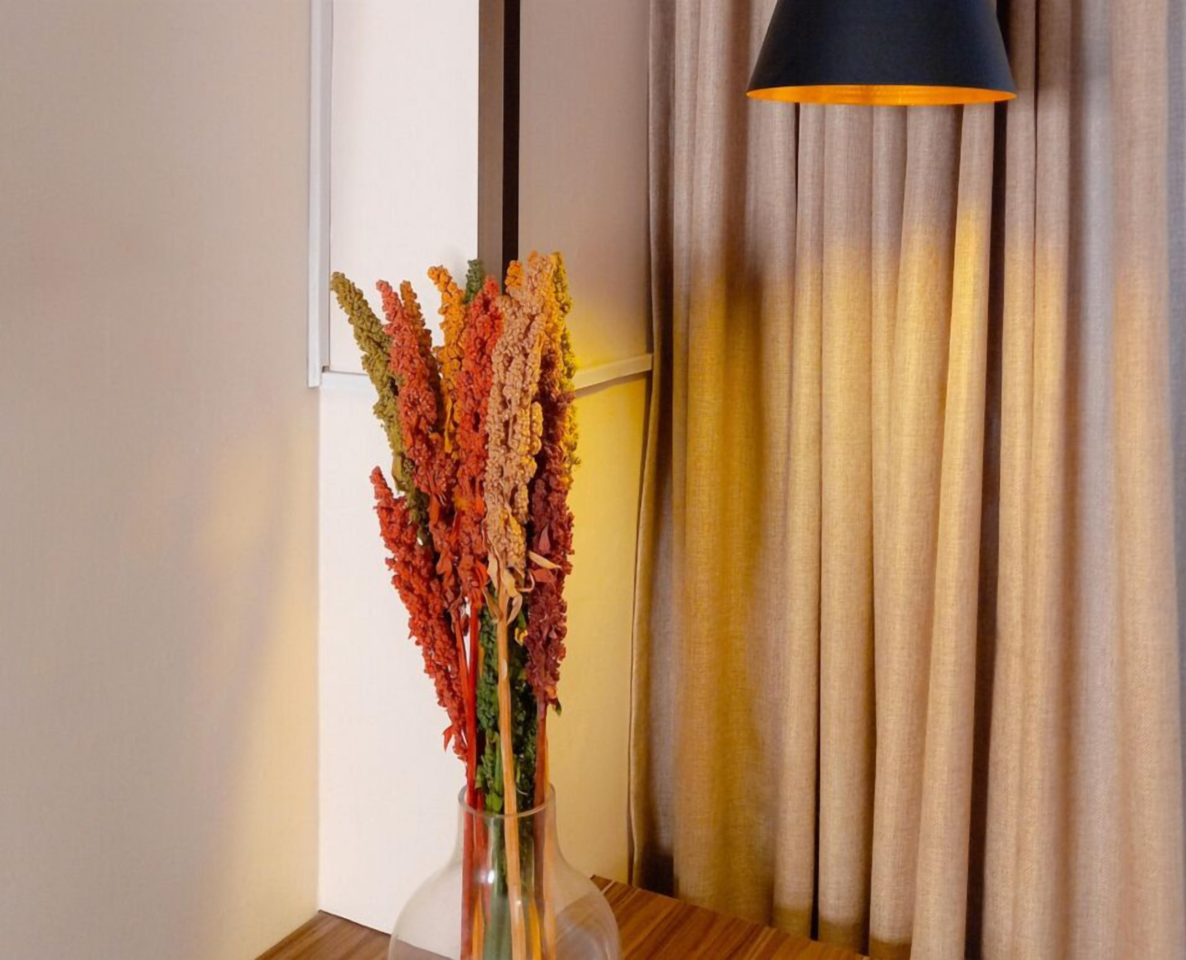 Photo - Hotel Sagarnaga