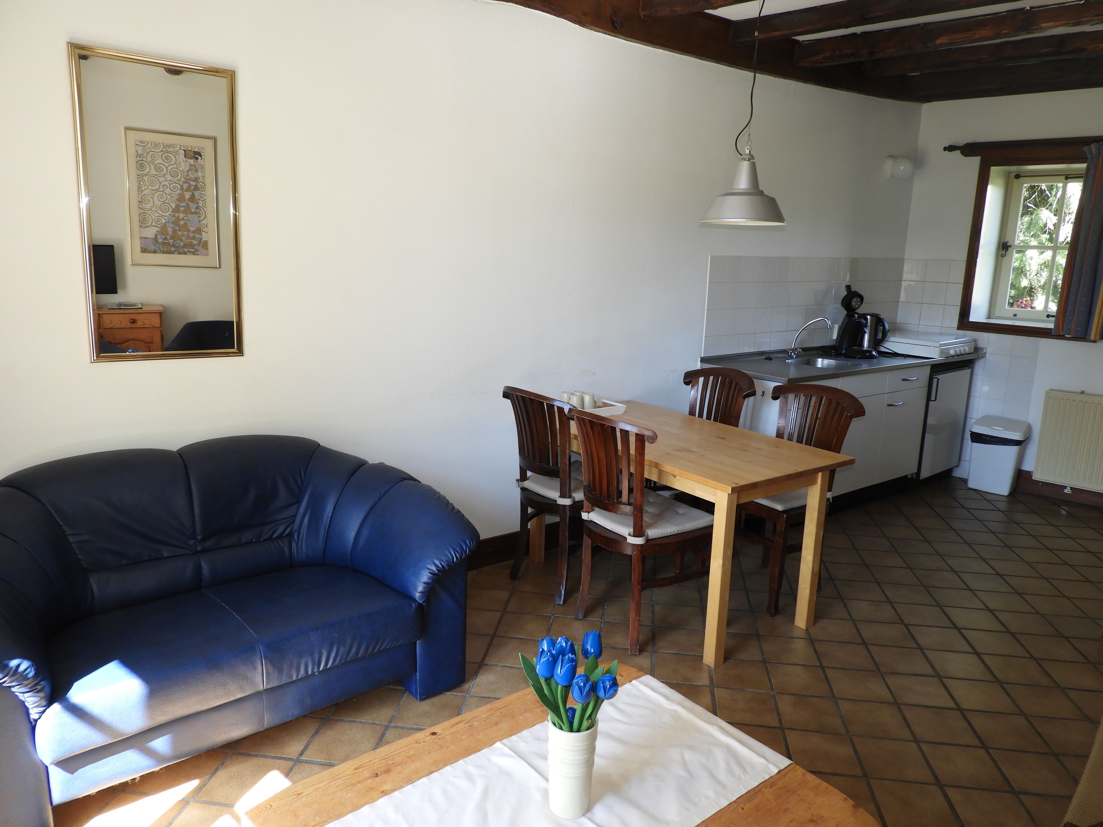 A living room with a blue sofa, a wooden dining table with chairs, a kitchen area with a sink and stove, and a window with curtains.