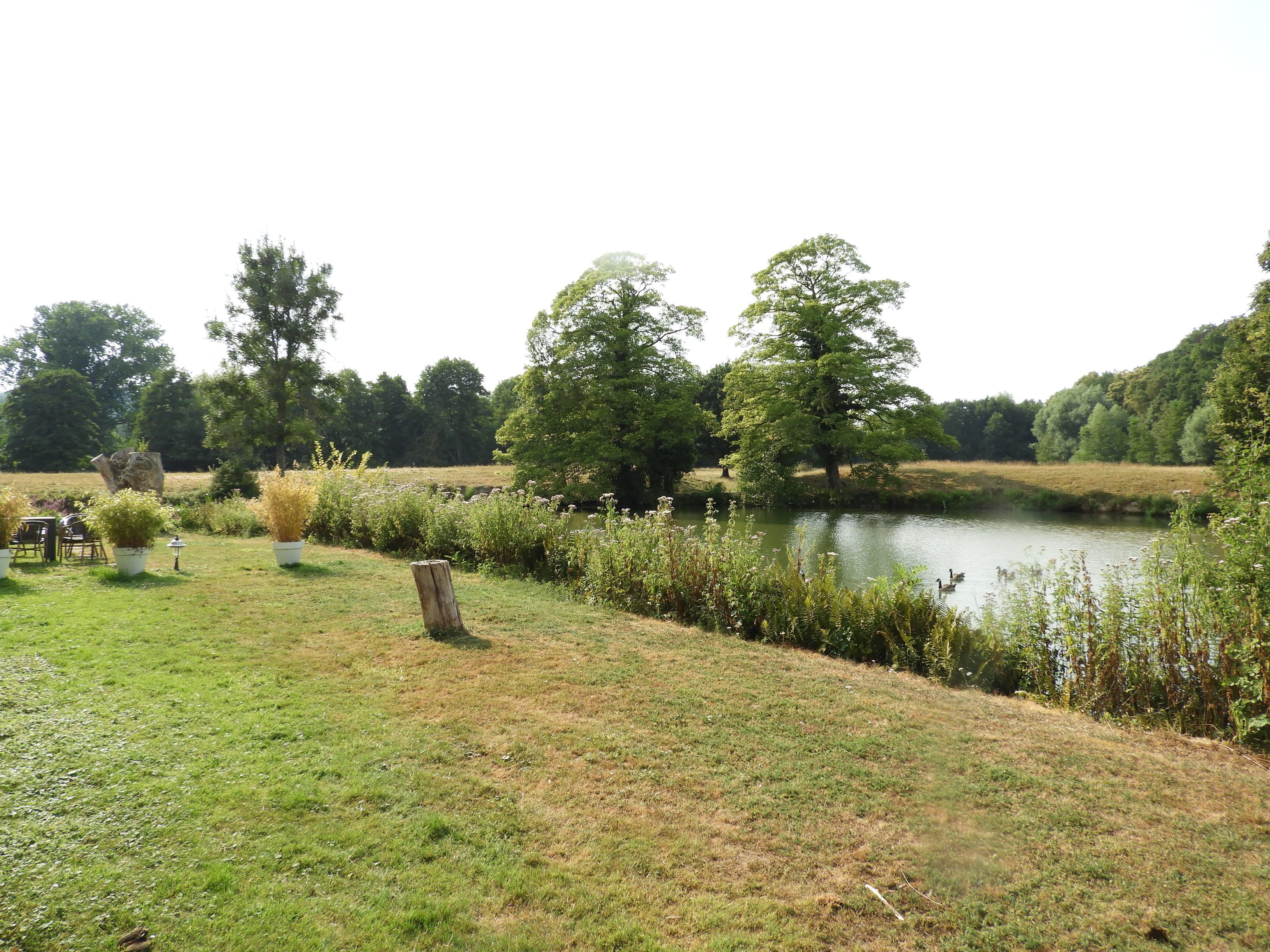 A serene outdoor setting with a grassy area, a pond, and trees.