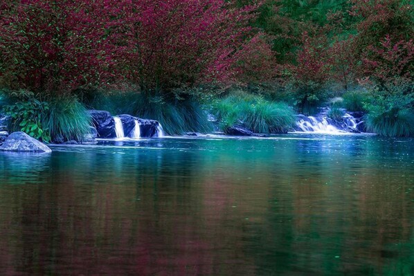 Une cascade paisible, avec plusieurs chutes d’eau, entourée d’une végétation luxuriante et d’arbres aux feuilles rouges.