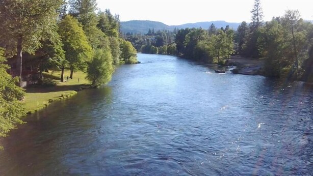 Ein Fluss, umgeben von dichtem Baumbestand und einer Wiese mit freiem Blick auf das Wasser.