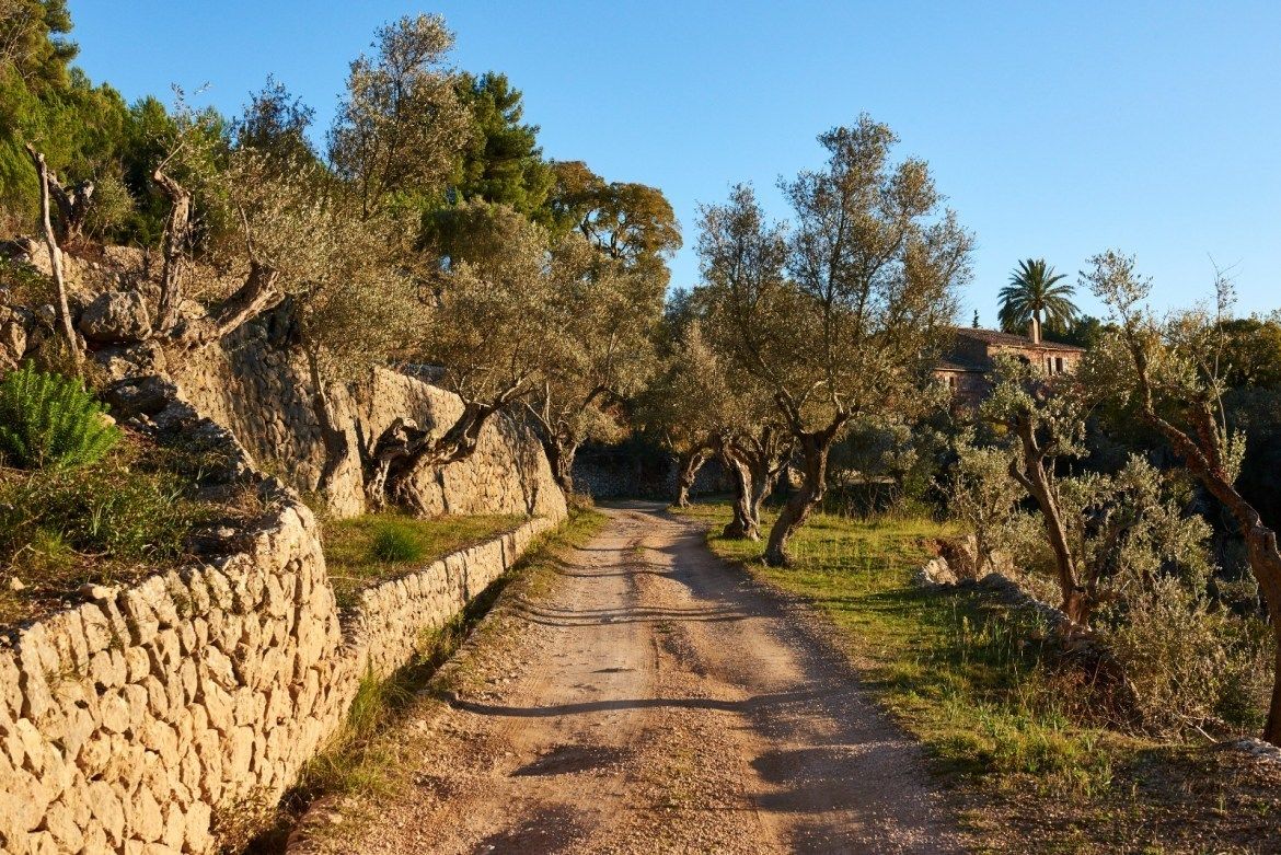 Foto - Mirabó de Valldemossa