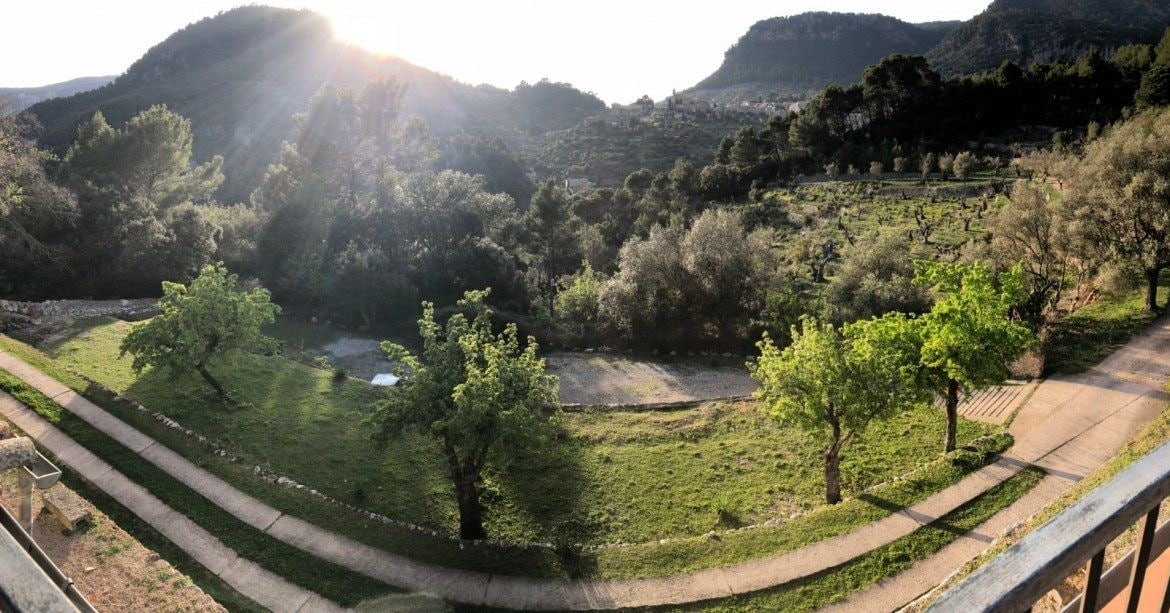 Una vista panorámica de un viñedo con un río, árboles y colinas al fondo.