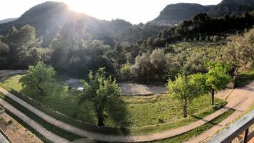 Una vista panorámica de un viñedo con un río, árboles y colinas al fondo.