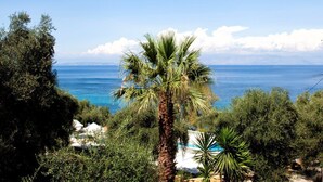 Property grounds - Veroniki Studios & Apartments (Corfu)