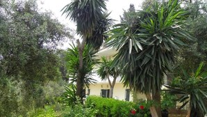 Garden - Veroniki Studios & Apartments (Corfu)