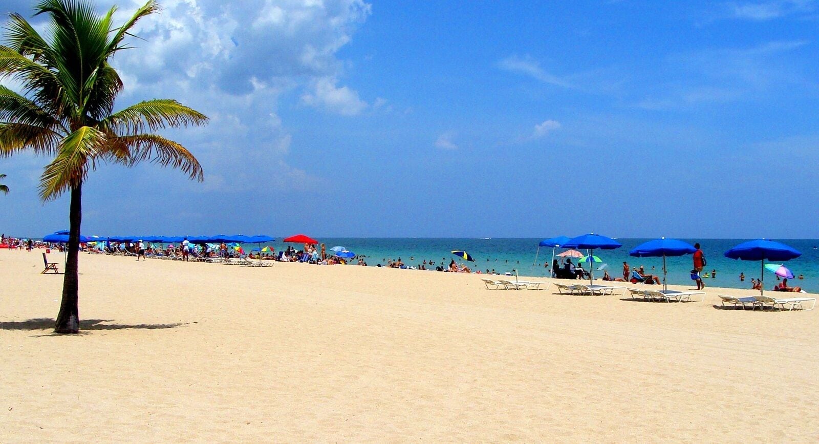 A beach with palm trees, blue umbrellas, and people sunbathing.