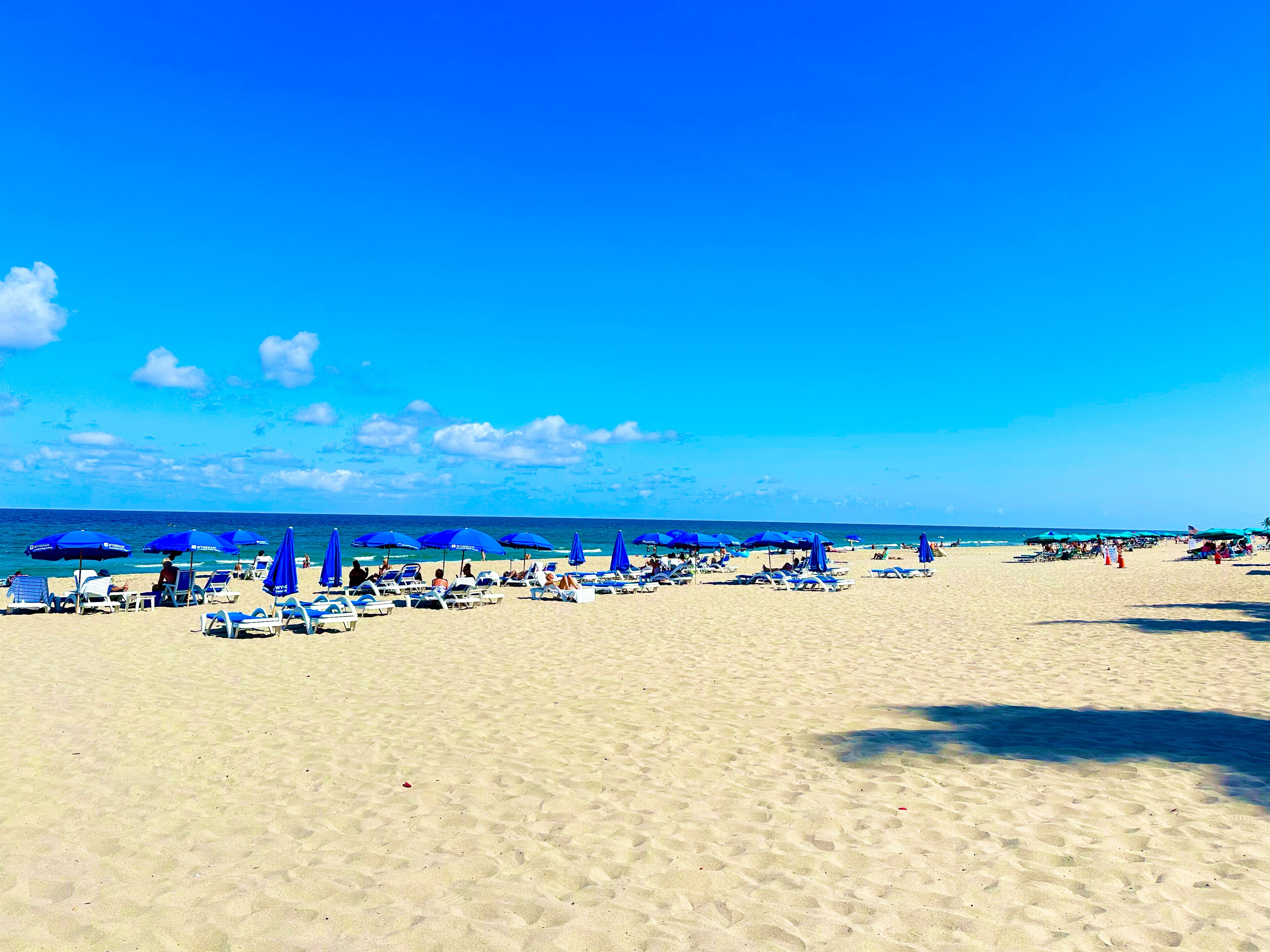 A beach with numerous sun loungers and umbrellas, a clear sky, and the ocean in the background.