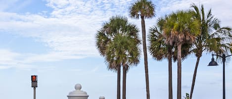 Zona de playa con palmeras, un edificio blanco identificado como "SEBASTIAN" y un semáforo para peatones.