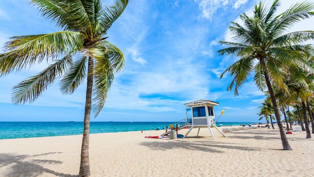Ein Strand mit Palmen, einem Rettungsturm und dem Meer im Hintergrund.