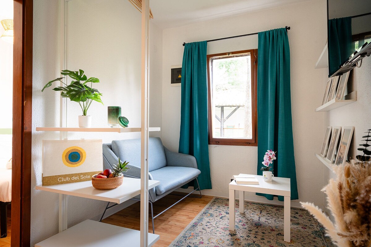 A compact room with a sofa, a small table, a potted plant, and a window with curtains.