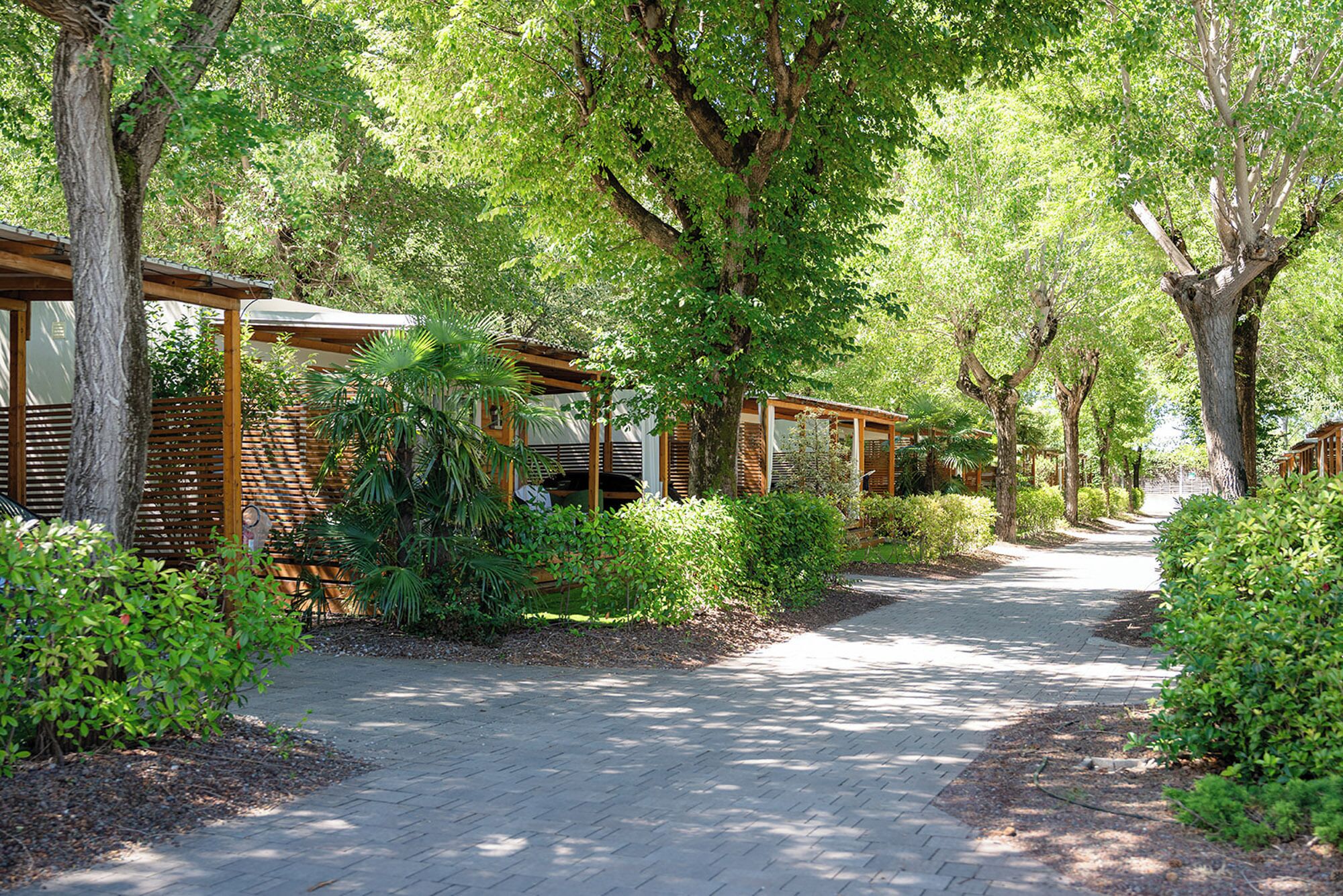 A pathway lined with wooden structures, surrounded by lush greenery and trees.
