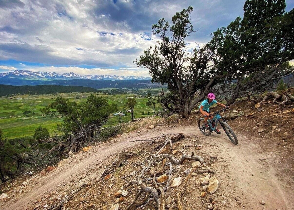 Ciclista de montaña en un sendero de tierra con vistas a montañas y un árbol.