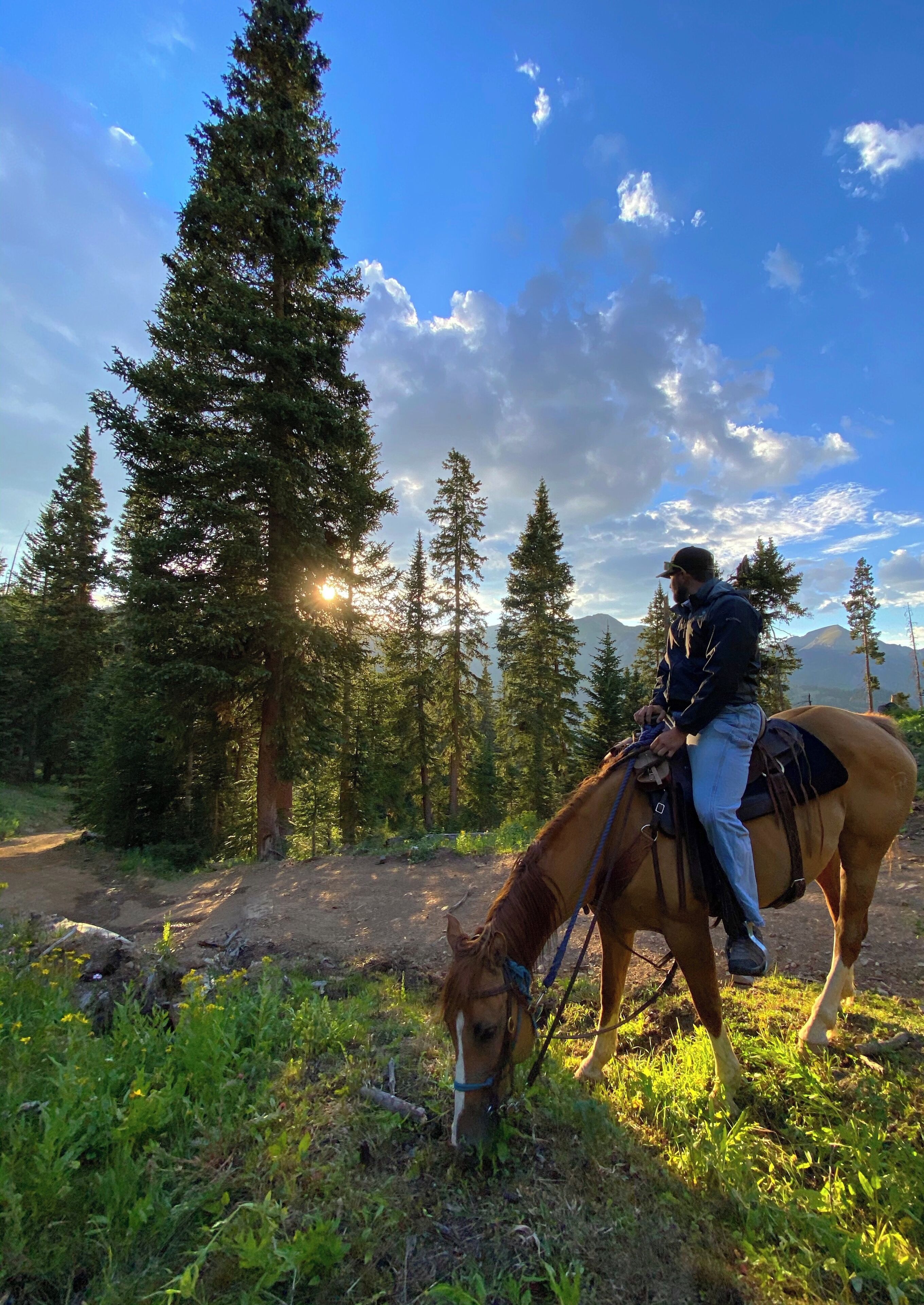 A person riding a horse on a dirt path surrounded by trees.