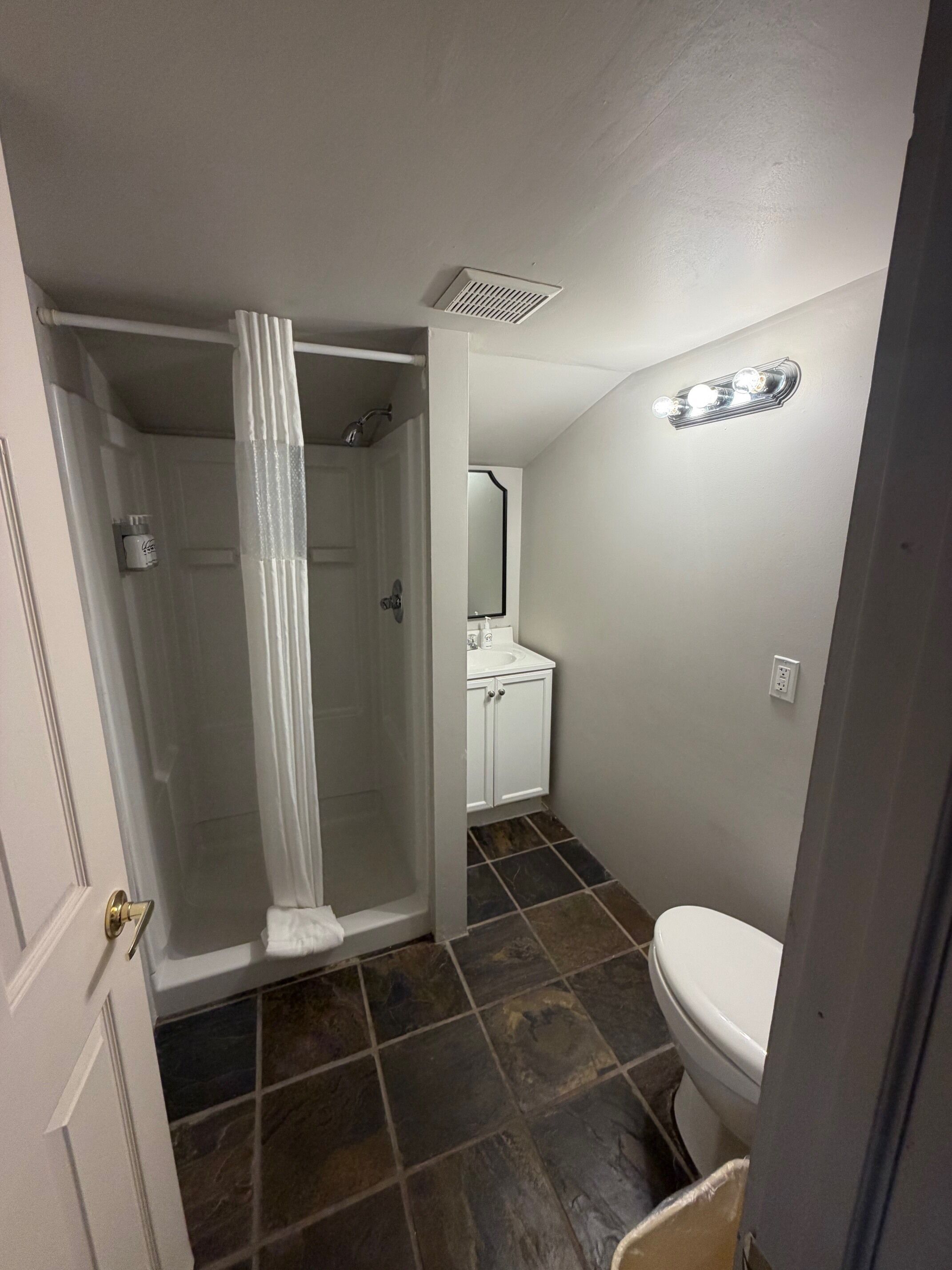 A bathroom with a shower, toilet, sink, and a mirror.