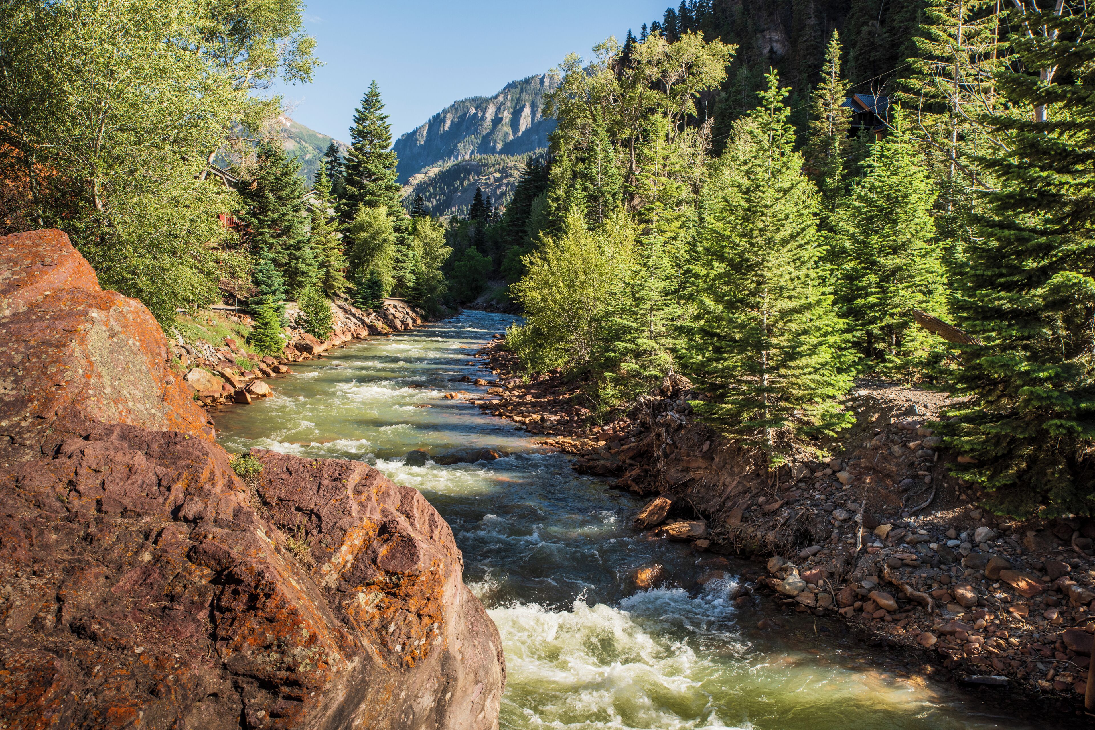 A river flowing through a forested valley with rocky terrain and dense trees.