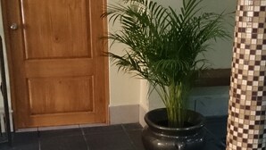 A wooden door with a number plate, a potted plant, and a tiled floor. - Hotel 1973 (San Luis Potosi)