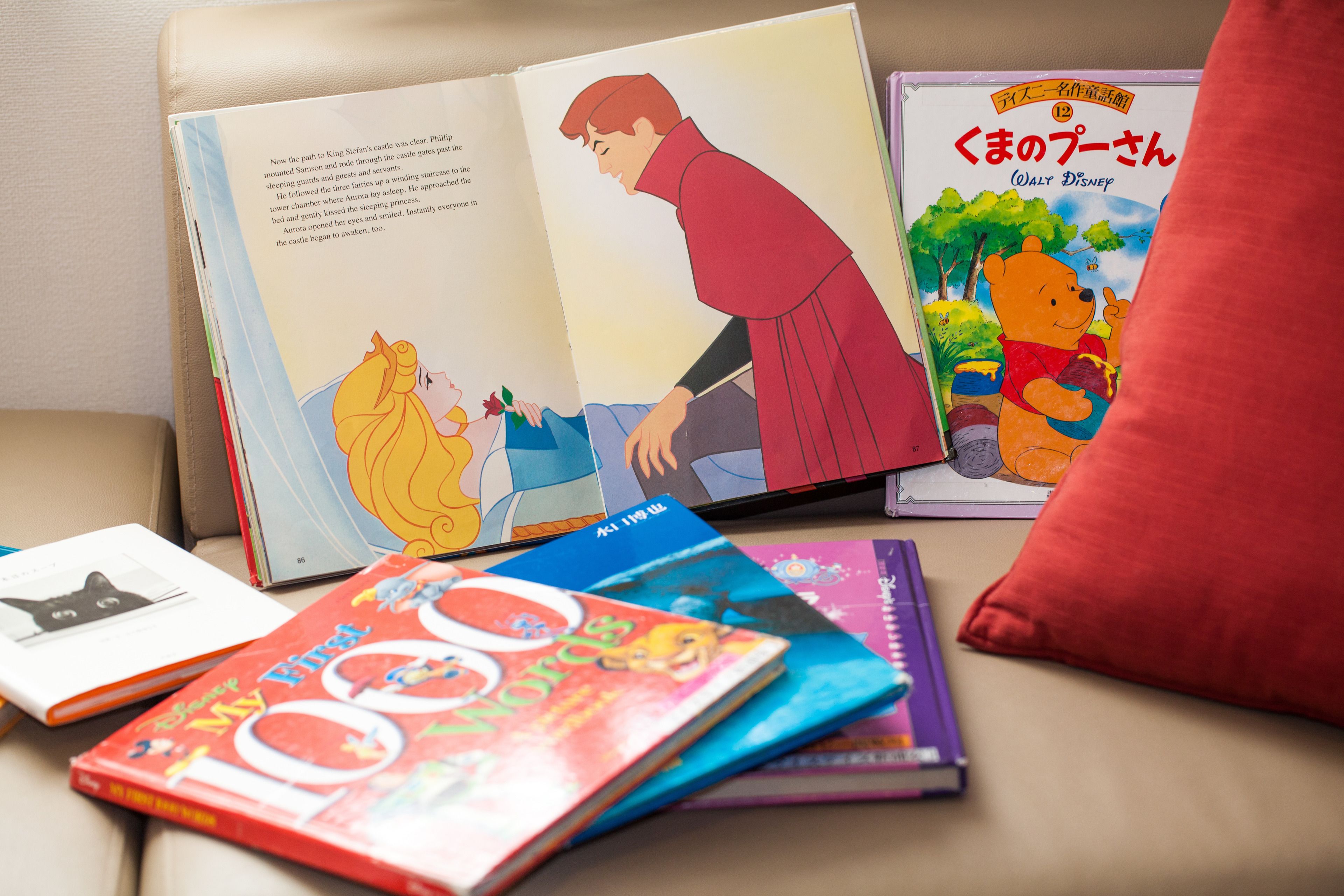 Photo - MYSTAYS Shin Urayasu Conference Center