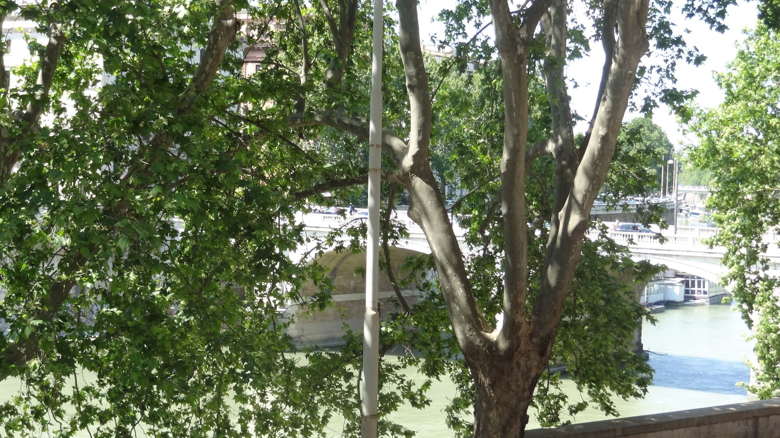 Foto - Augustana House and Suites