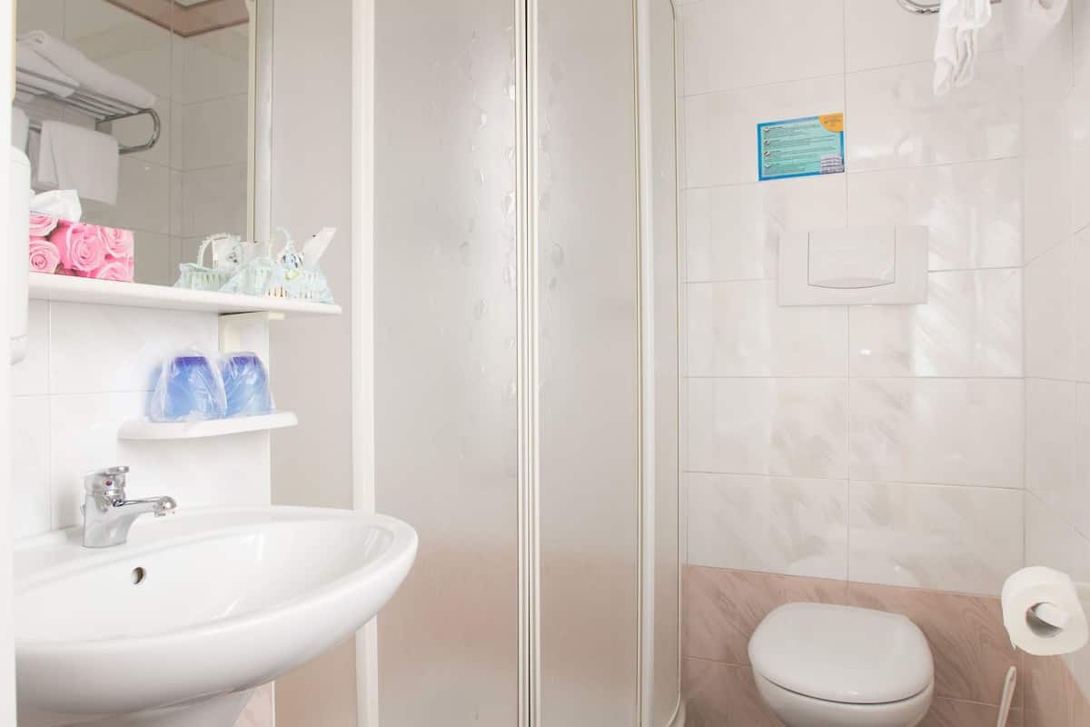 shower, free toiletries, hair dryer, bidet