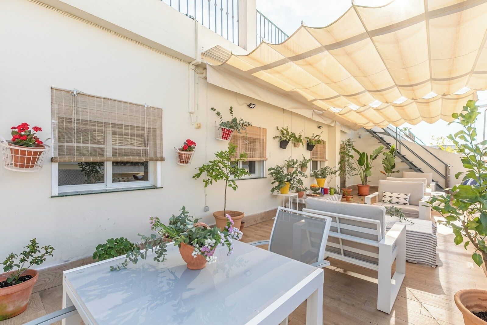 Photo - nüa alameda