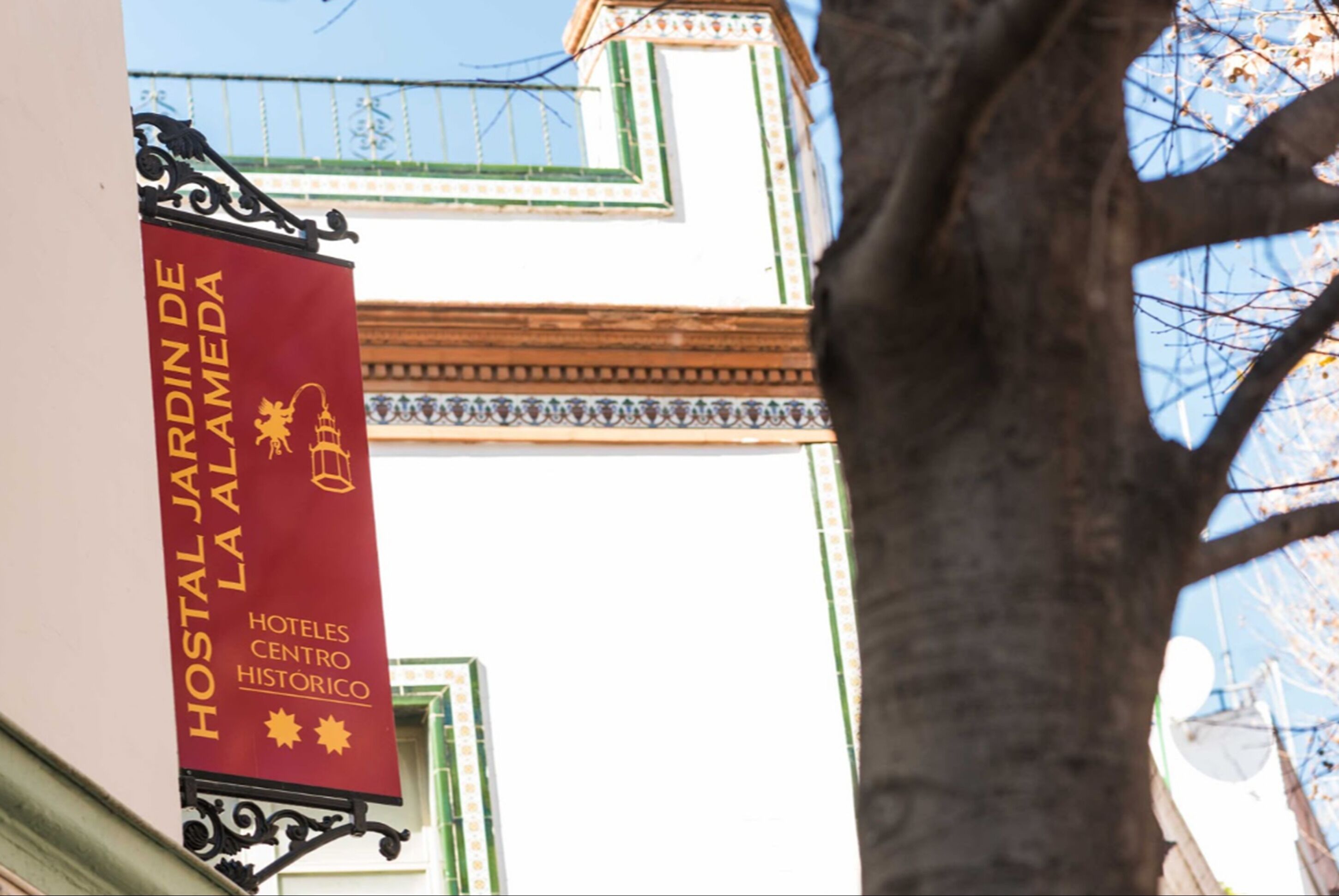 Photo - nüa alameda