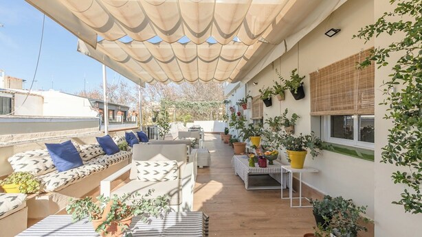 Un área de estar al aire libre cubierta con sofás y mesas, rodeada de plantas en macetas.