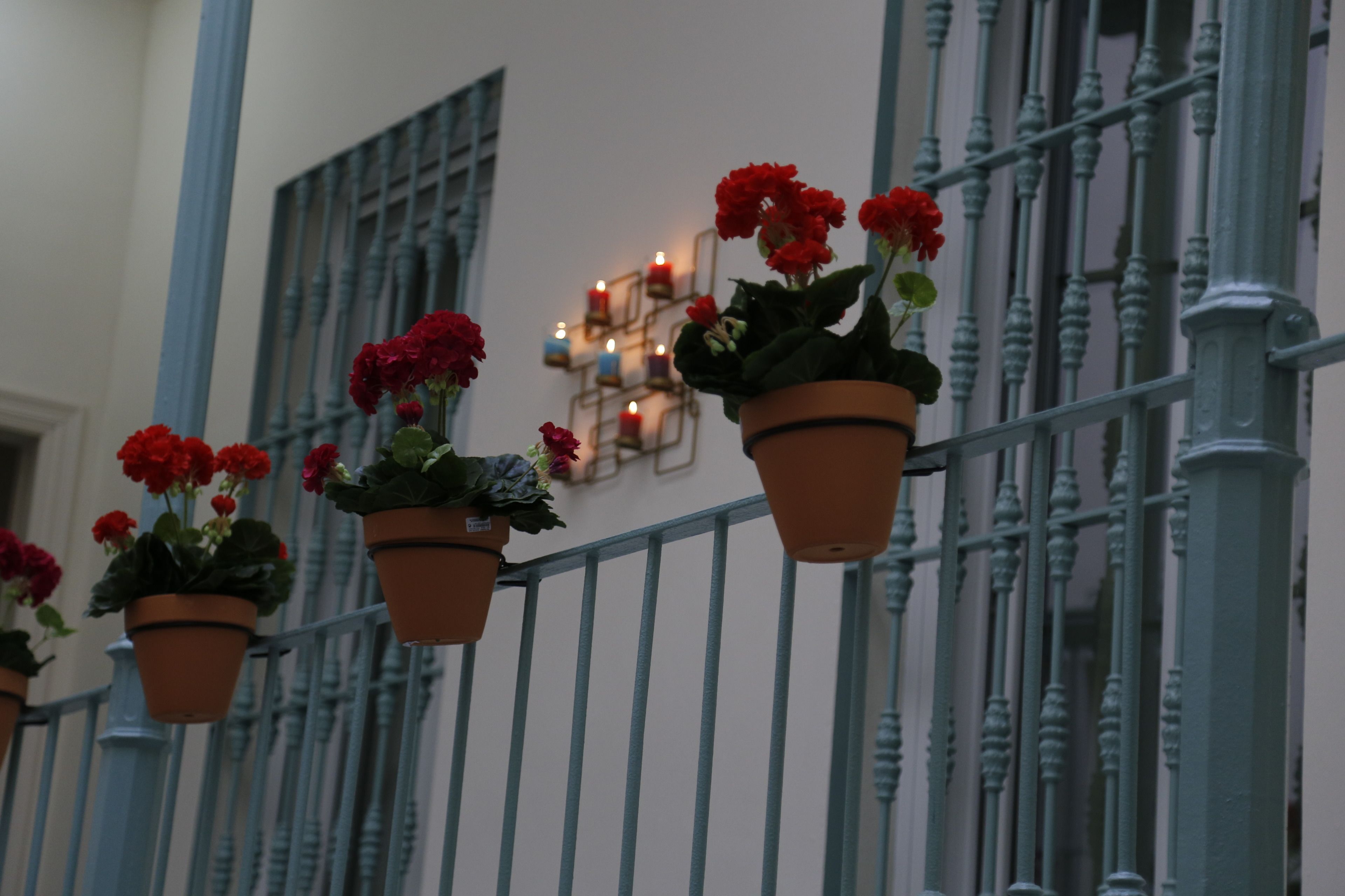 Photo - nüa alameda