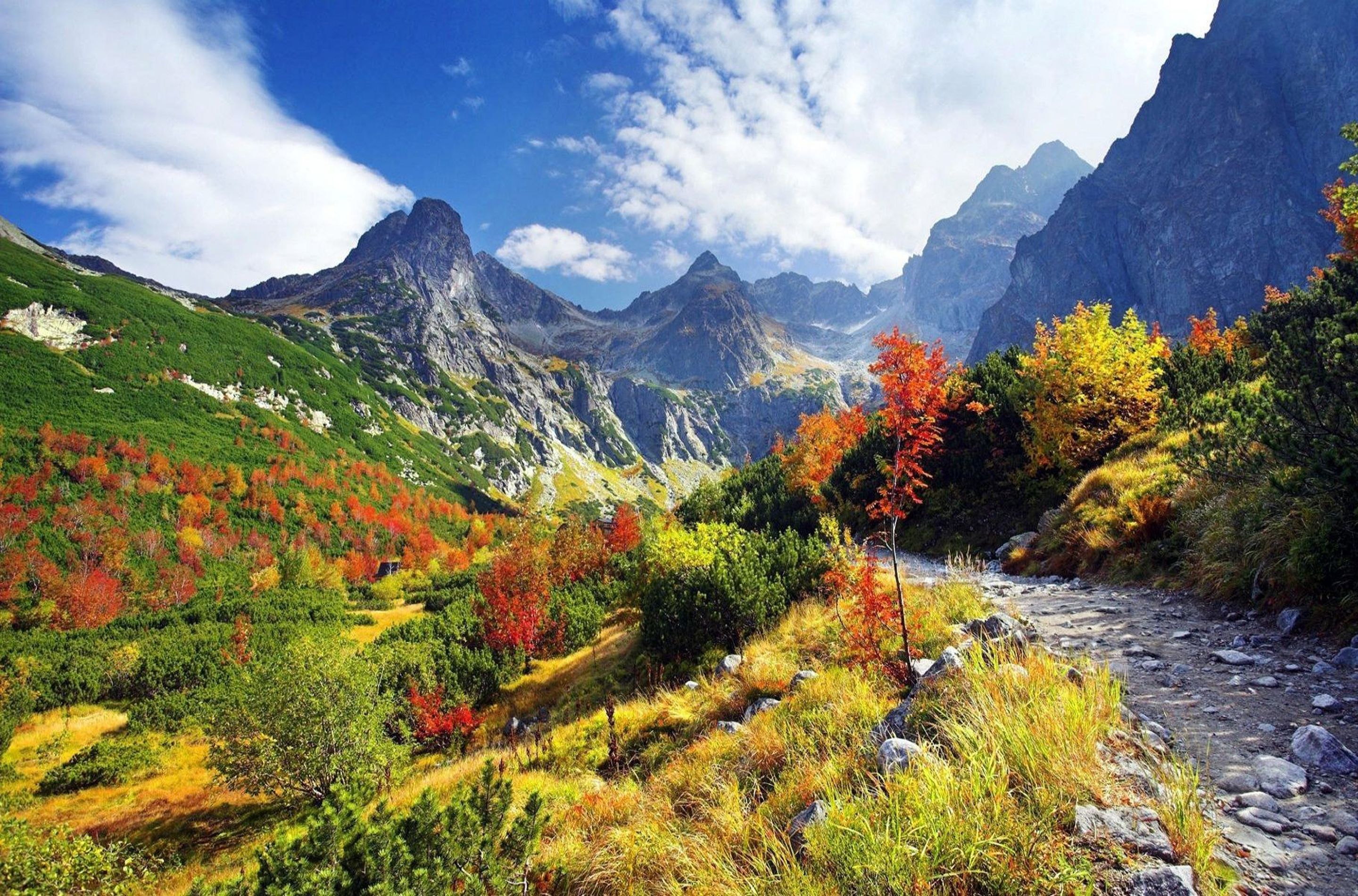 Paisagem montanhosa com rio, folhagem outonal e terreno rochoso.