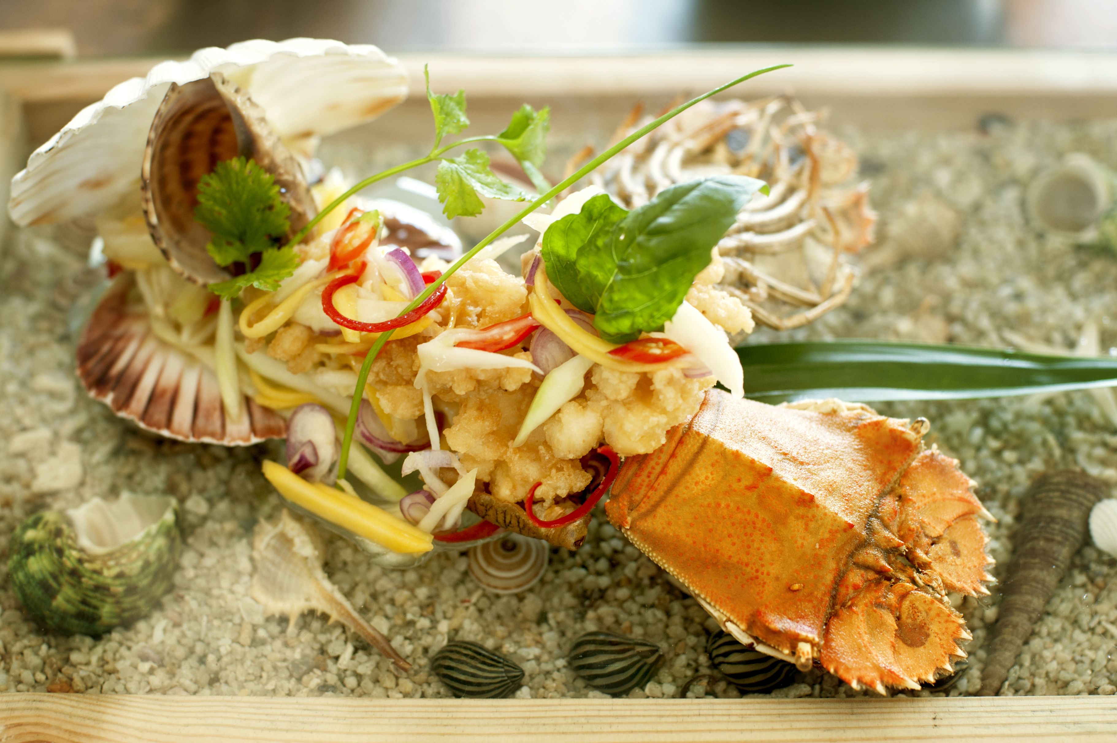 A lobster tail with vegetables and herbs on a bed of seashells.